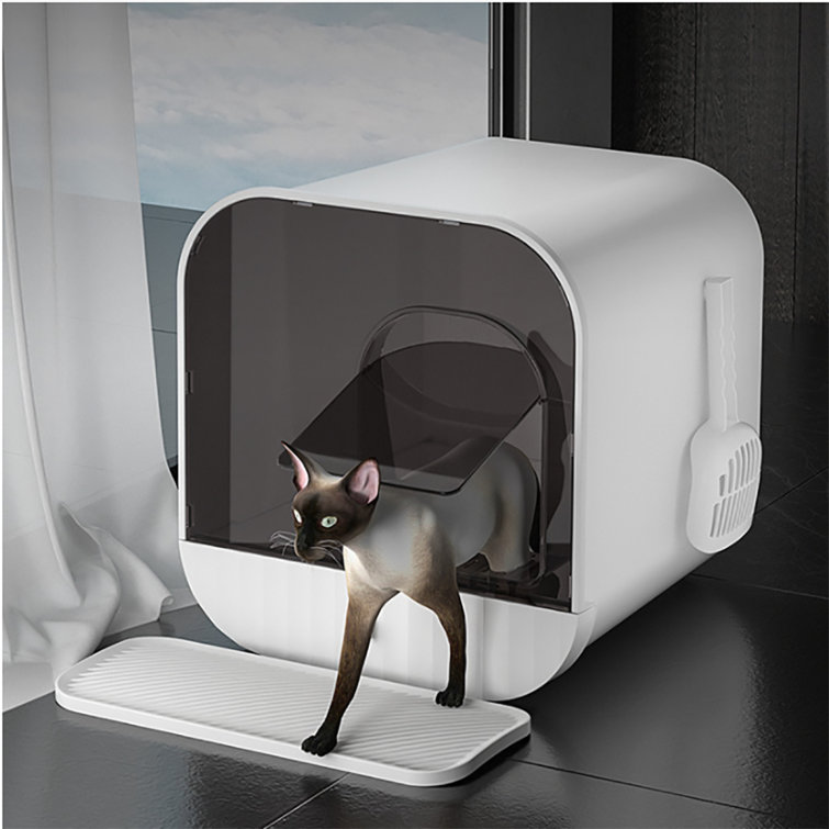 What is the best cat litter for indoor cats hotsell